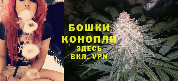 винт Майский