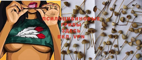 винт Майский