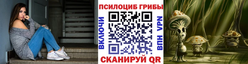 Псилоцибиновые грибы прущие грибы  blacksprut сайт  Нолинск 